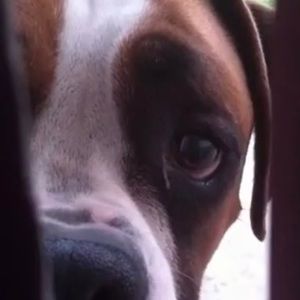 Meet your Posher, Teresa